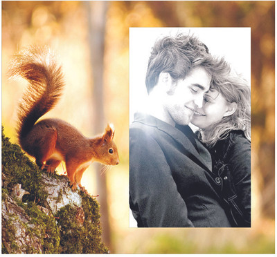 50% OFF on Panache Wood Photo Frame 50% OFF on Panache Wood Photo Frame