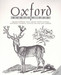 Anupam Oxford Sketch Pad (Wiro) Unruled A3 Drawing Paper