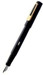 Pierre Cardin Ikon Fountain Pen