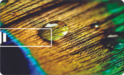 57% OFF on Printland Credit Card Tree Bark 8 GB Pen Drive