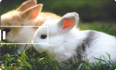 57% OFF on Printland Credit Card Rabbit 8 GB Pen Drive 57% OFF on Printland Credit Card Rabbit 8 GB Pen Drive
