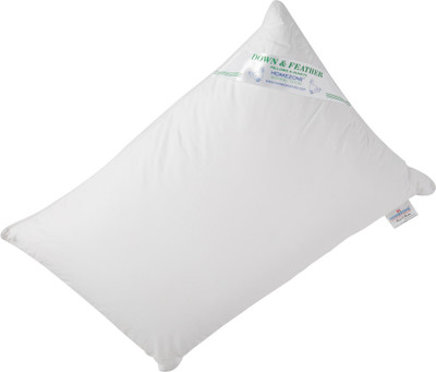19% OFF on Home Zone Plain Bed/Sleeping Pillow
