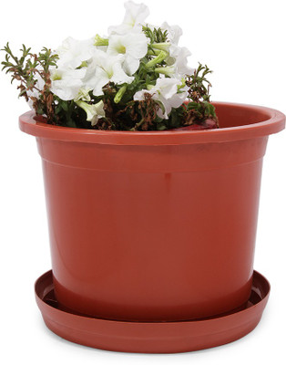 34% OFF on Blessed Plain Plant Container Set Pack of 3, Plastic 34% OFF on Blessed Plain Plant Container Set Pack of 3, Plastic