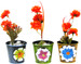 Go Hooked Mini Table Metal Indoor Plant Container Set (Pack of 3)