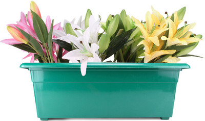19% OFF on Blessed Window Plant Container Set Plastic 19% OFF on Blessed Window Plant Container Set Plastic