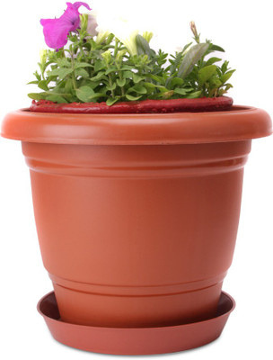 Blessed Ring Plant Container Set Pack of 3, Plastic Blessed Ring Plant Container Set Pack of 3, Plastic