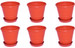 Blessed Ring Plastic Indoor Plant Container Set (Pack of 6)
