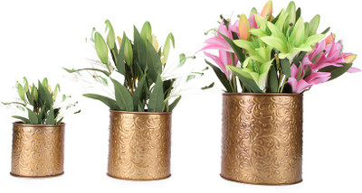 27% OFF on Blessed Garden Plant Container Set Pack of 3, Metal 27% OFF on Blessed Garden Plant Container Set Pack of 3, Metal
