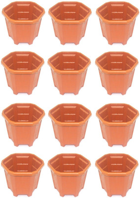 Rk Plant Container Set Pack of 12, Plastic Rk Plant Container Set Pack of 12, Plastic