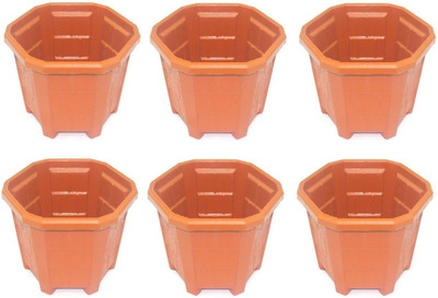 37% OFF on Rk Plant Container Set Pack of 6, Plastic 37% OFF on Rk Plant Container Set Pack of 6, Plastic