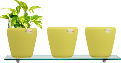 53% OFF on Yuccabe Italia Combo for 3 Stella Yellow Self Watering planter Plant Container Set Pack of 3, Plastic