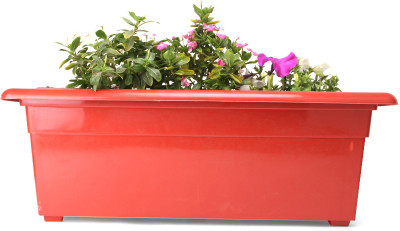 45% OFF on Blessed Window Plant Container Set Plastic 45% OFF on Blessed Window Plant Container Set Plastic