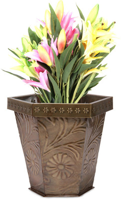24% OFF on Blessed Plant Container