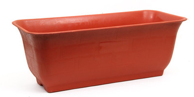 14% OFF on Natures Plus Plant Container 14% OFF on Natures Plus Plant Container