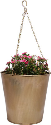 27% OFF on Blessed Plant Container