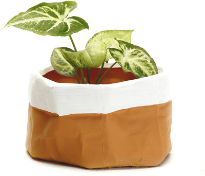 30% OFF on Aapno Rajasthan Plant Container