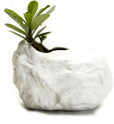 50% OFF on Aapno Rajasthan Plant Container