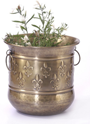 Goyal India Plant Container