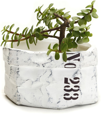 60% OFF on Aapno Rajasthan Plant Container