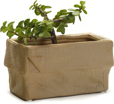 61% OFF on Aapno Rajasthan Plant Container