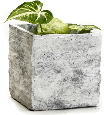 35% OFF on Aapno Rajasthan Plant Container