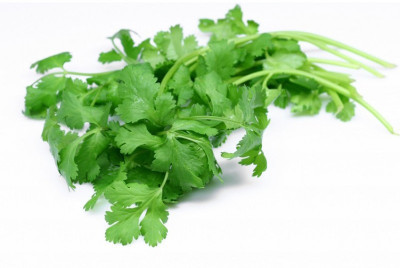 Agricart AGRI102 Coriander Seed 100 per packet Agricart AGRI102 Coriander Seed 100 per packet