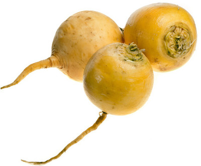 65% OFF on E-plant Golden Yellow Turnip Seed 30 per packet 65% OFF on E-plant Golden Yellow Turnip Seed 30 per packet