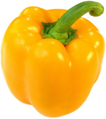 65% OFF on E-plant Yellow pepper seeds Yellow pepper Seed 30 per packet