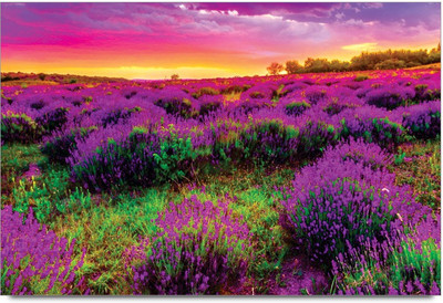 34% OFF on Amy Beautiful Purple Flower Field Paper Print