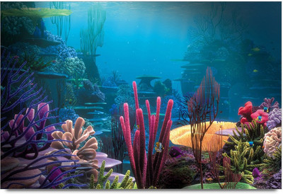 34% OFF on ColorFul Flawers Paper Print 34% OFF on ColorFul Flawers Paper Print