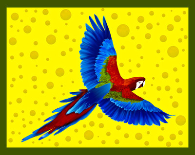 50% OFF on Parrot 02, Paper Print