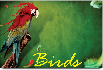 75% OFF on Amy Beauty Parrot Bird 3D Poster