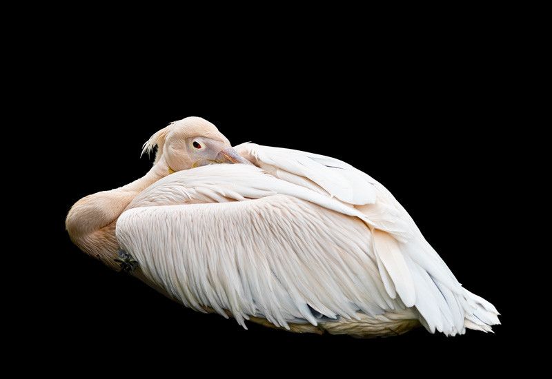 50% OFF on Do not Paper Print