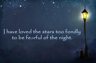 62% OFF on Cat Under Street Lamp Poster Photographic Paper