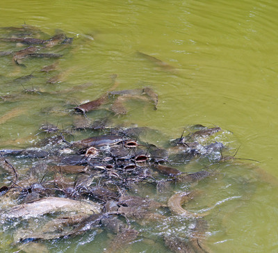 50% OFF on Fight for Paper Print 50% OFF on Fight for Paper Print