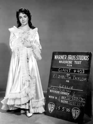 14% OFF on Elizabeth Taylor Fine Art Print