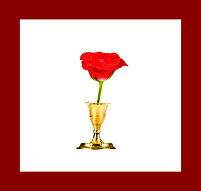 50% OFF on Rose in Paper Print