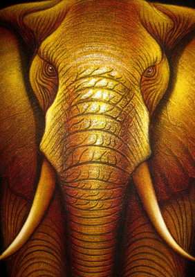 47% OFF on Elephant Trunk Fine Art Print