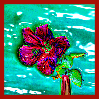 50% OFF on Hibiscus in Canvas Art