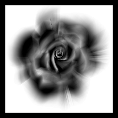 50% OFF on Rose Dark Paper Print