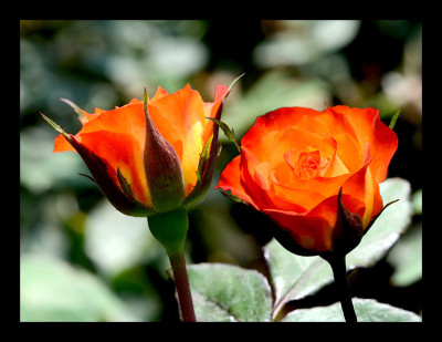 50% OFF on Couple in Paper Print