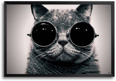 74% OFF on Cat And Glasses Fp00003580 Framed Photographic Paper