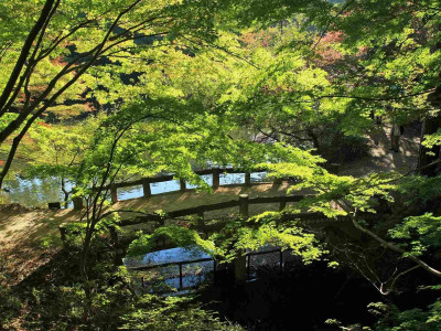 52% OFF on Elite Collection Painting without Frame Autumn70 Canvas Art