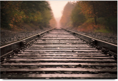 34% OFF on Amy Beautiful Pink Tulips Paper Print 34% OFF on Amy Beautiful Pink Tulips Paper Print