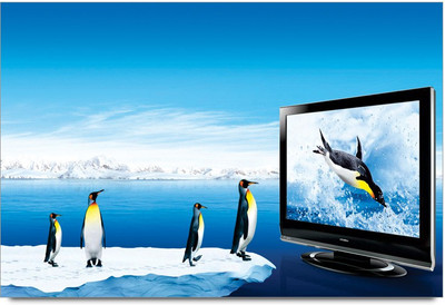 75% OFF on Amy Penguin Animal Cute 3D Poster