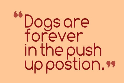 70% OFF on Push Up Position Poster131562 Photographic Paper 70% OFF on Push Up Position Poster131562 Photographic Paper