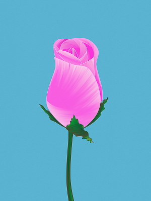 50% OFF on Rose Bud Paper Print 50% OFF on Rose Bud Paper Print