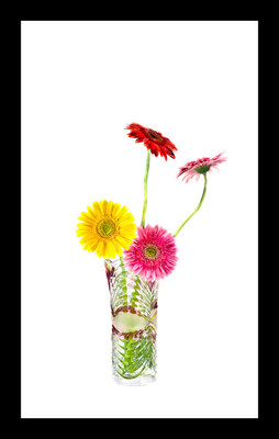 50% OFF on Gerbera in Canvas Art