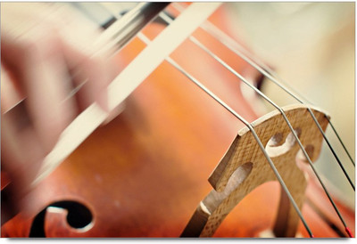 75% OFF on Amy Vintage Voilen Metal Wire Paper Print