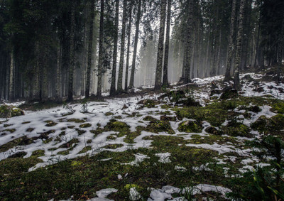 33% OFF on White Grass Fine Art Print